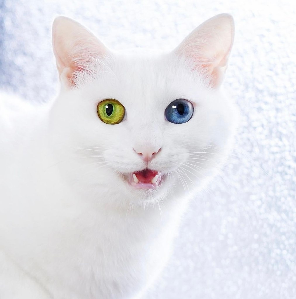 ������ ������! ����� ��� �� ������! - 4