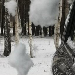 �����, ������, 49 ���