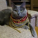 ���� ����������, �������, 51 ��� - ��������� 30 ������ 2025 � ������ ������ ��������