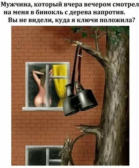   - 6  2025  11:25