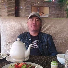 , 41, 
