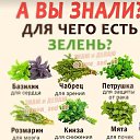 ���� �����, ������, 67 ��� - ��������� 30 ������� 2025 � ������ ������ ��������