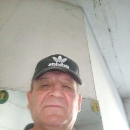  , 44, 