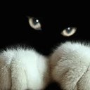  Helvkrim,  -  17  2025    