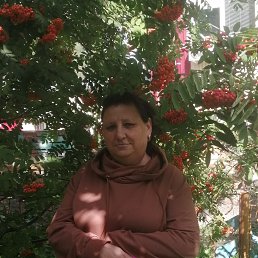 , 54, 