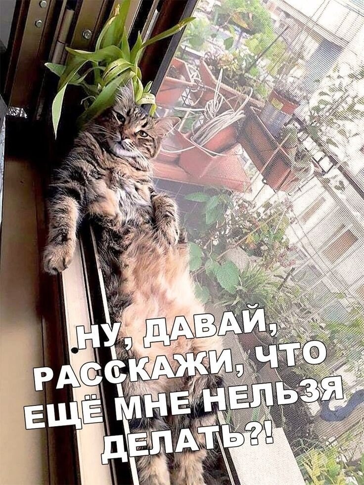   - 9  2025  11:41