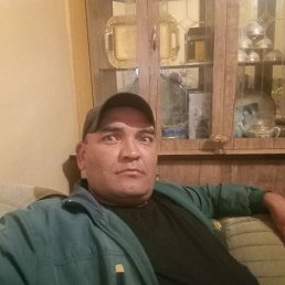 , 40, 