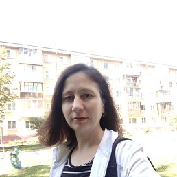 , 37, 