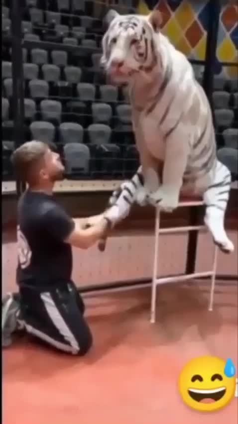 �� ���� � ������� �����, �� ��� �� �������! - 2