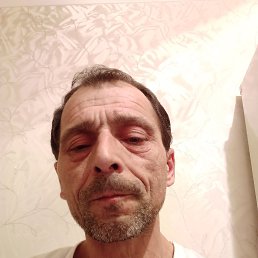 , 44, 