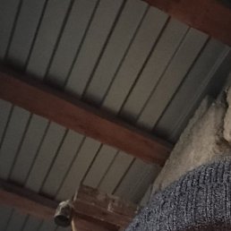 �����, ������, 45 ���