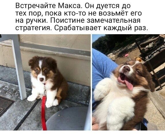 !