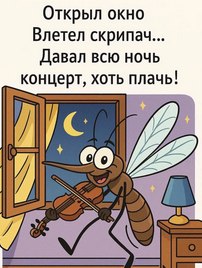   - 24  2025  11:25
