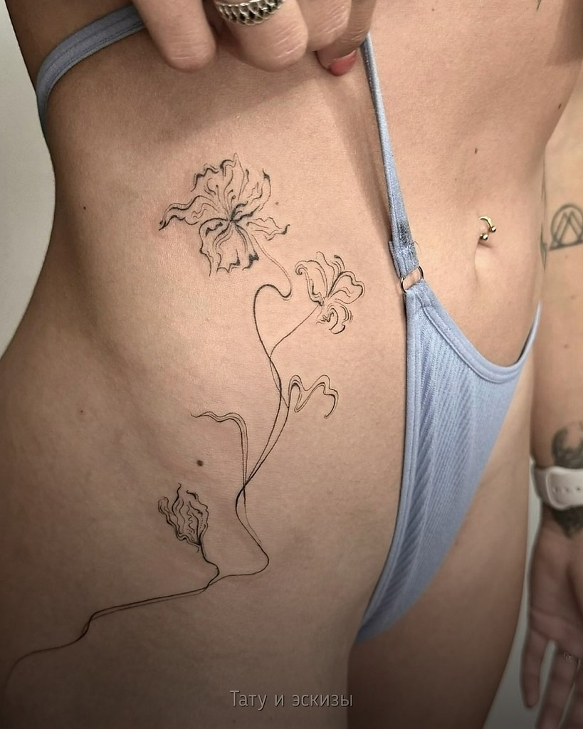 ˸���� �����, ����������� �� ������ � ������, ������ �������� ������������ ����� � ����� �������� ...