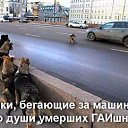    , -, 72  -  7  2025    Ȼ