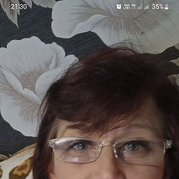 , 51,  