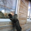 ���� ������, ������ �����, 38 ��� - ��������� 17 ������� 2025 � ������ ���� ����������