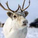 ���� ������, ��������, 46 ��� - ��������� 16 ������ 2025 � ������ ���� ����������