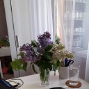���� ��� ., �����, 71 ��� - ��������� 15 ��� 2026 � ������ ���� ����������