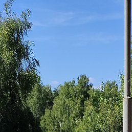 ���������, �������-���������, 62 ����