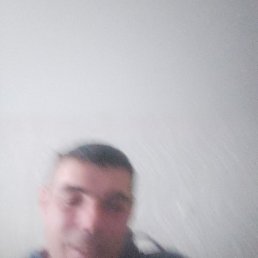 �������, ������, 44 ����