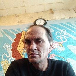, 48, 