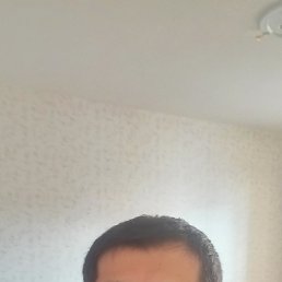 , 33, 