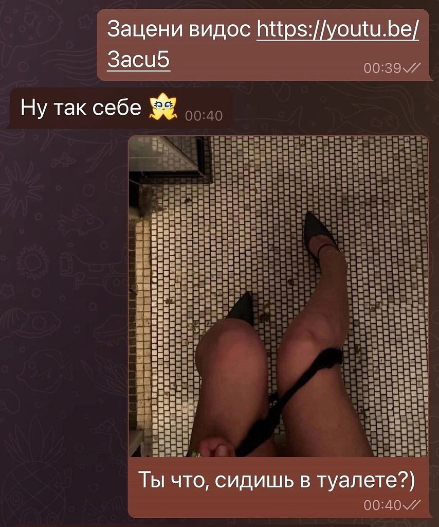     - 24  2025  14:28
