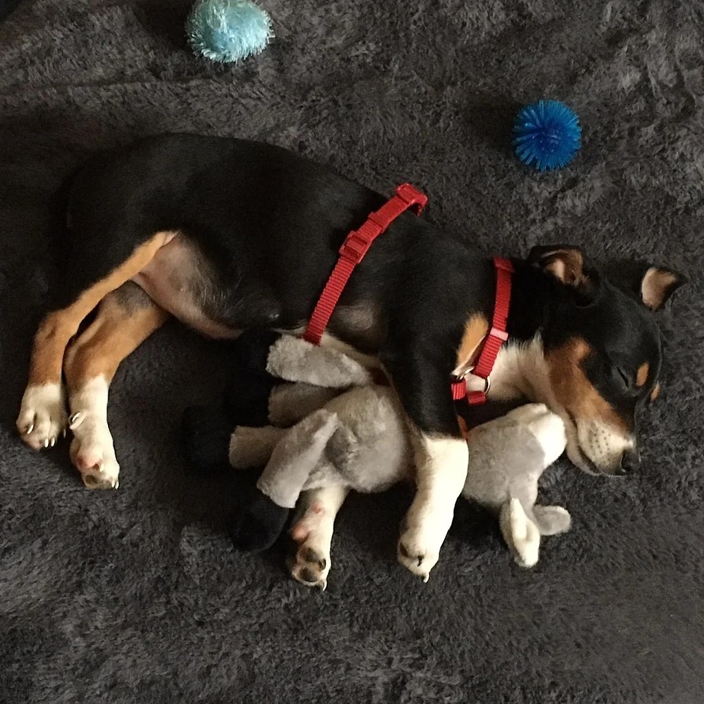 ���� ������� ���� �������� �������
