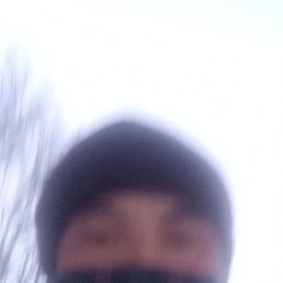 �����, ������, 39 ���