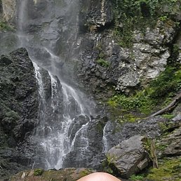 , 42, 