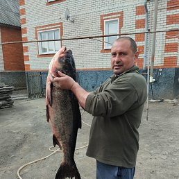, 45 , 