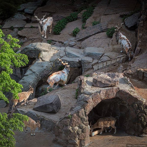 ����� ����������� ��������.����: stepanovslava - 6