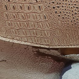 �����, �������, 55 ���