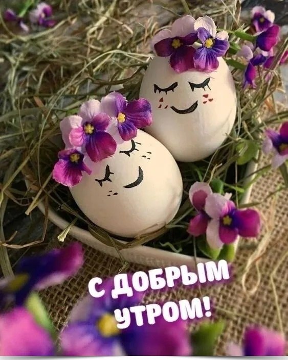   - ...   -  ! 
