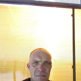 , 41, 