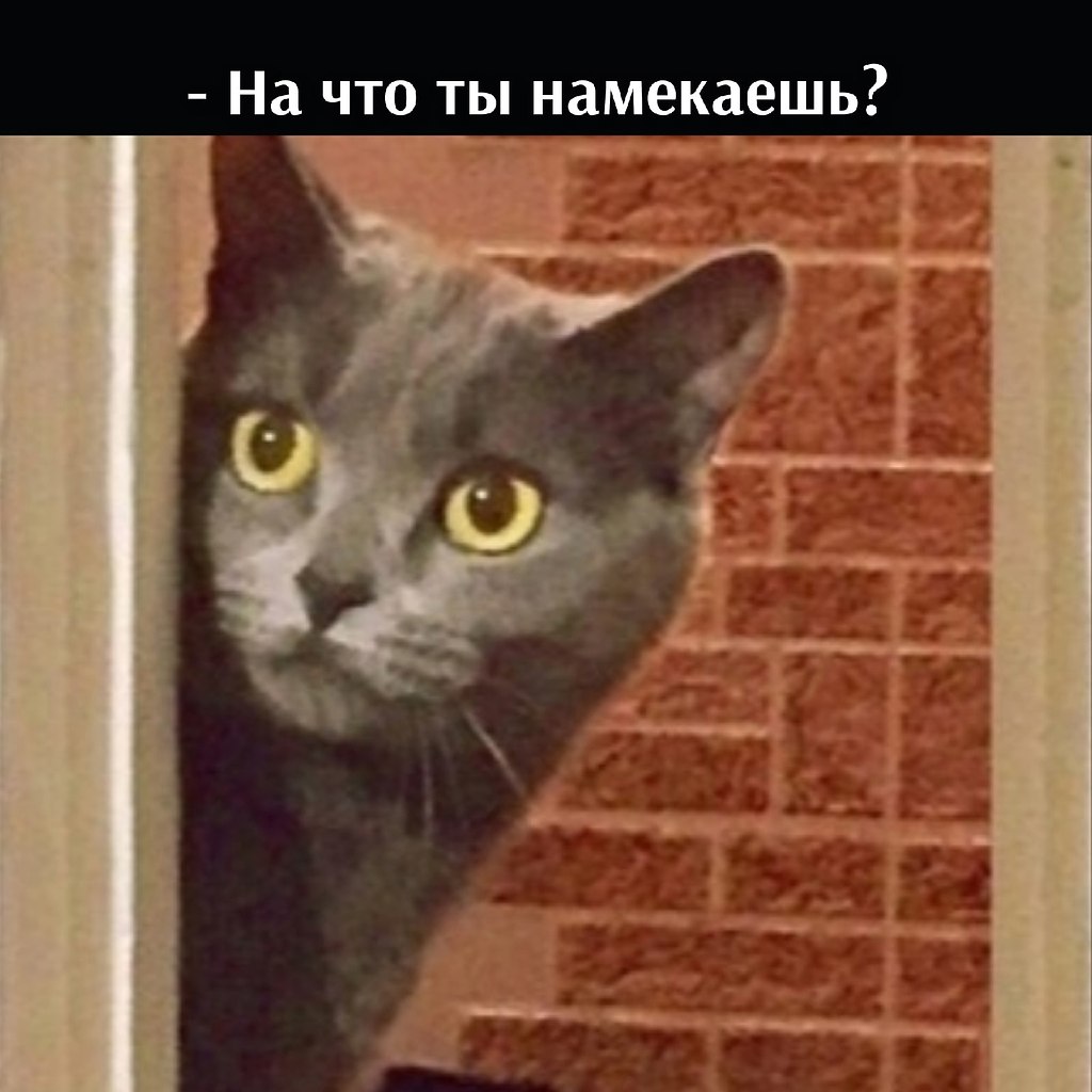       - 30  2025  20:00 - 2