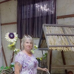 , 52, 