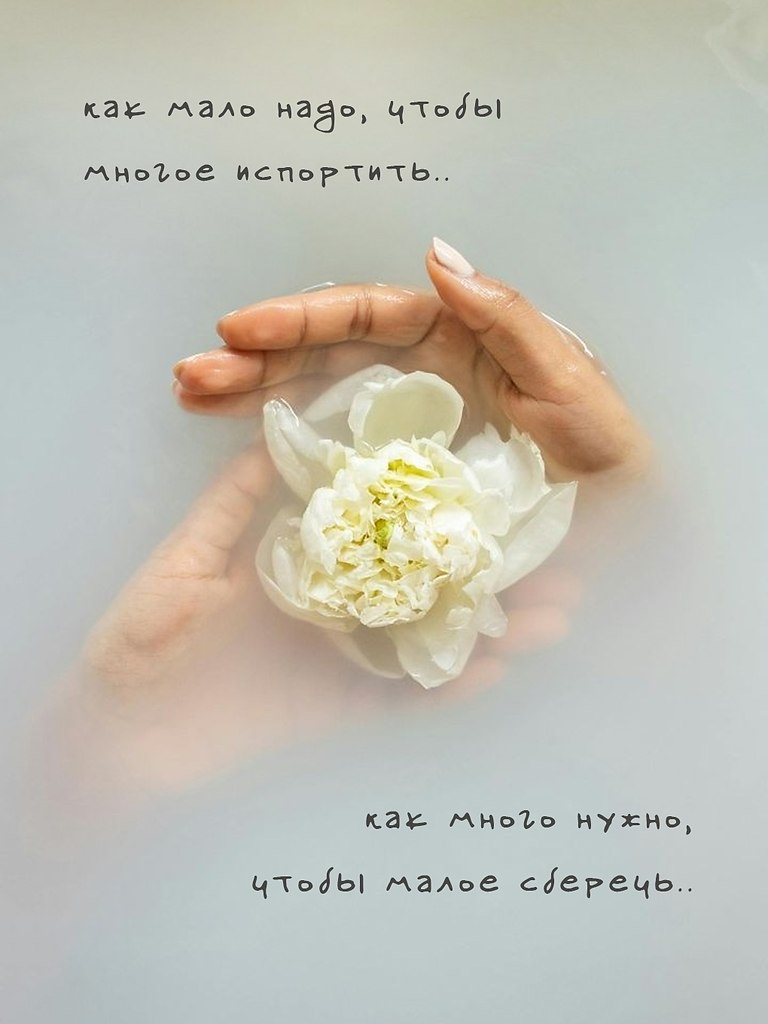 ������ ����� - 6 ������� 2026 � 06:31