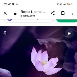 , , 39 