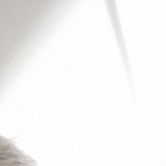  , 53 , 