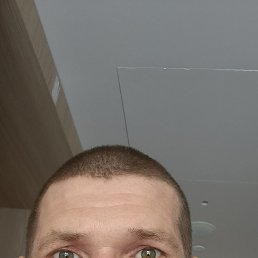 , 41, 