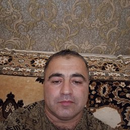 �����, 40 ���, ���������