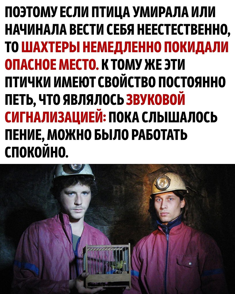     - 3