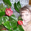 ���� �����, �����-���������, 59 ��� - ��������� 9 ������� 2026 � ������ ���� ����������