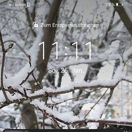 ���� Alina, �������, 24 ���� - ��������� 25 ������ 2026