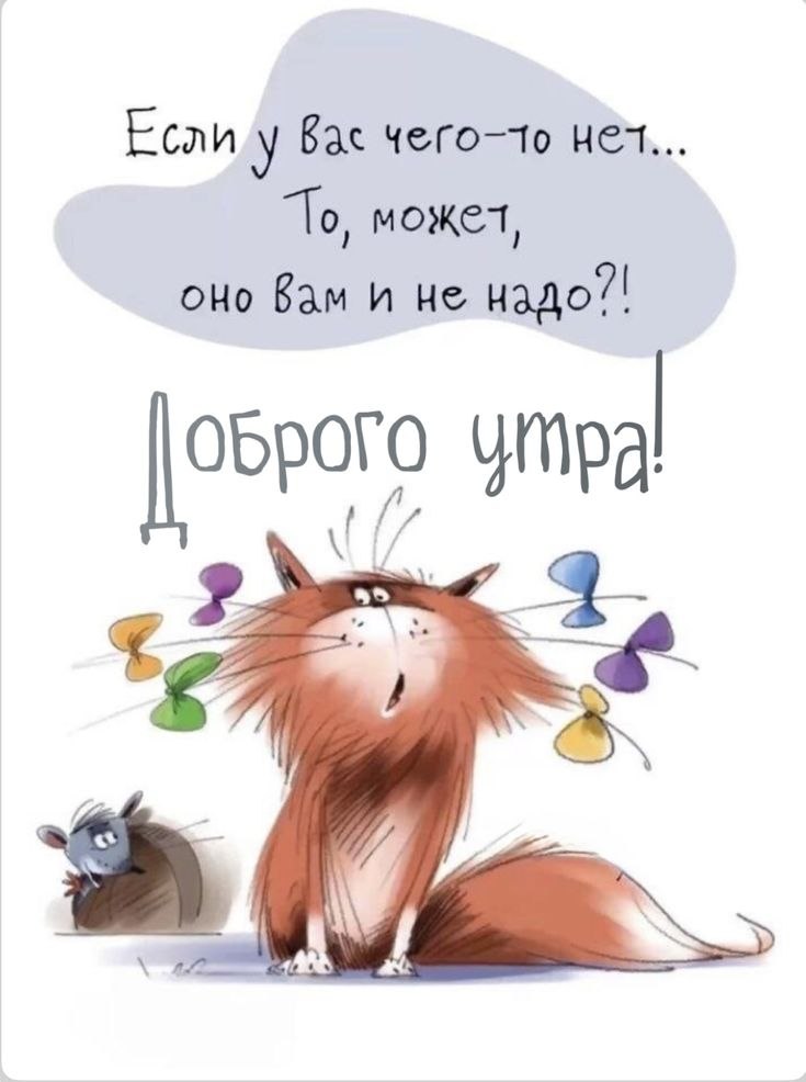   ,    . - 17  2025  00:06 - 8