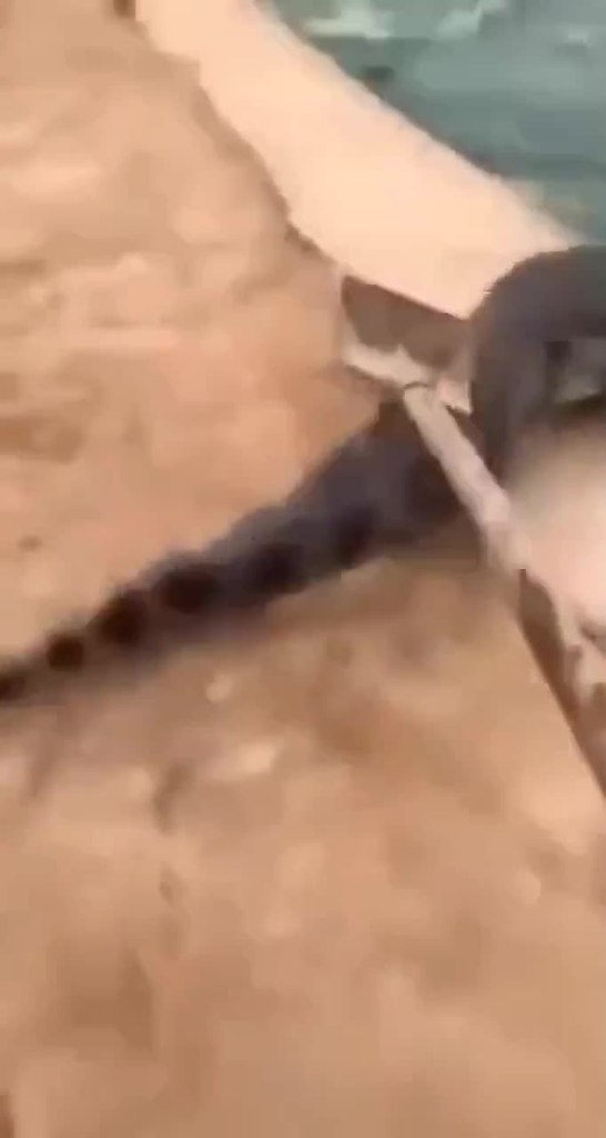 ,    .. - 2