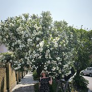 , 42 , 