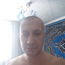 , 46, 